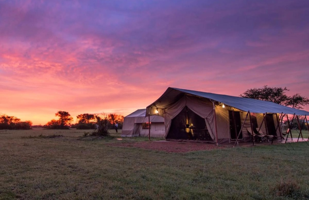 Tented camp under a pink sunset sky