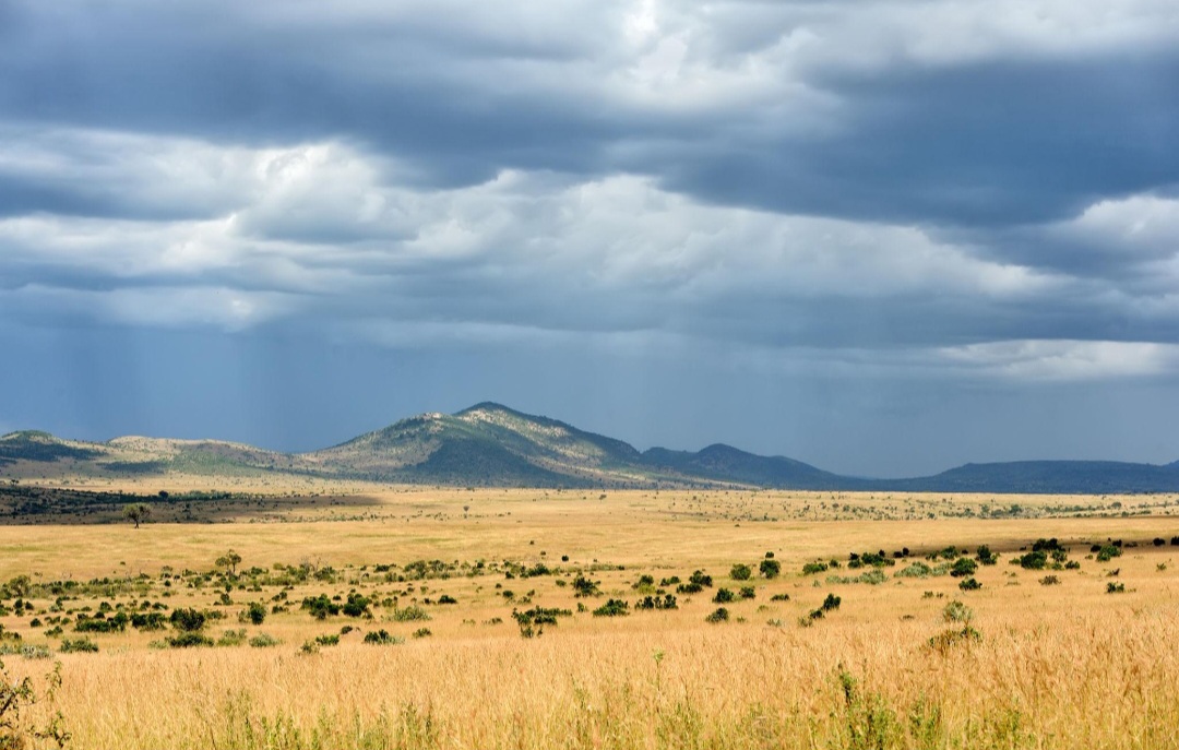 Storm clouds over the Mara hills