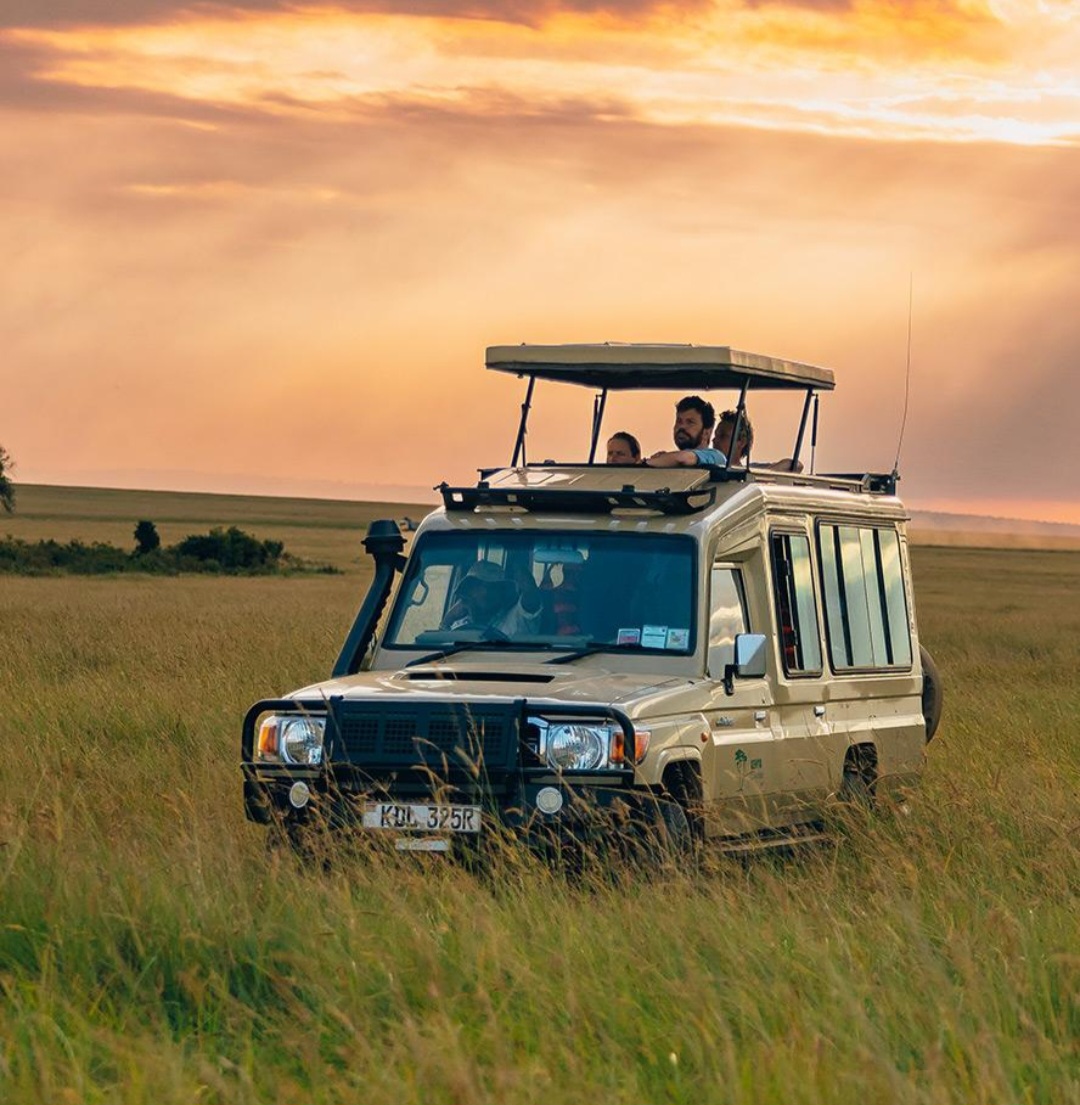 Safari vehicle at golden hour, Maasai Mara