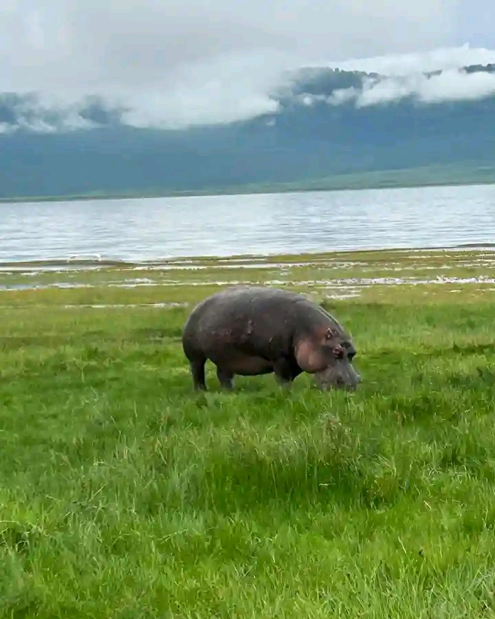 Tanzania