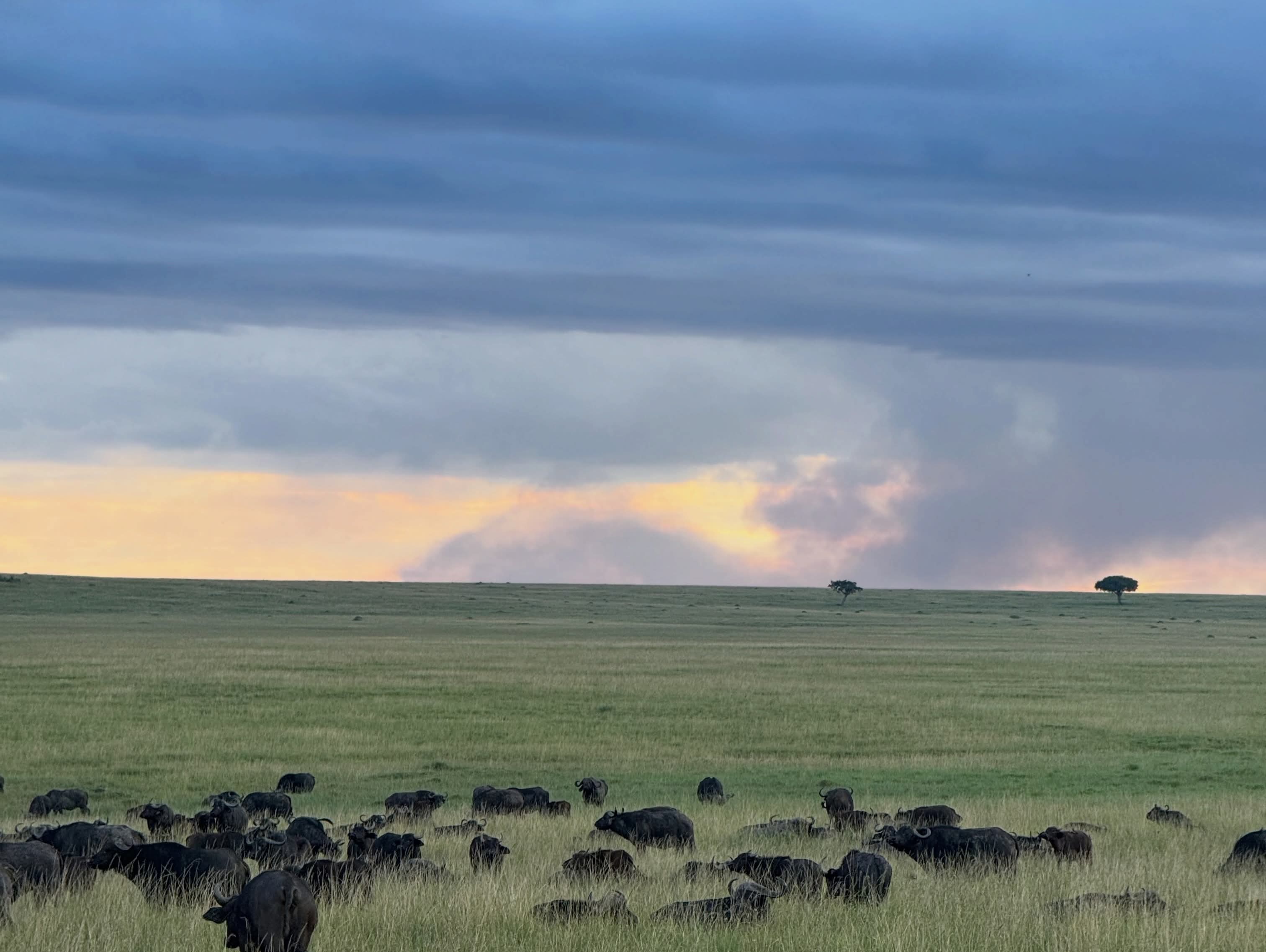 Akagera National Park